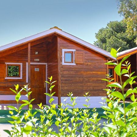 Bungalows Camping El Cid Peñíscola Exteriér fotografie