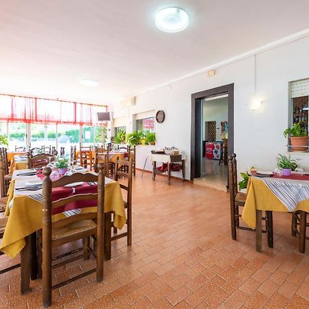 Bungalows Camping El Cid Peñíscola Exteriér fotografie